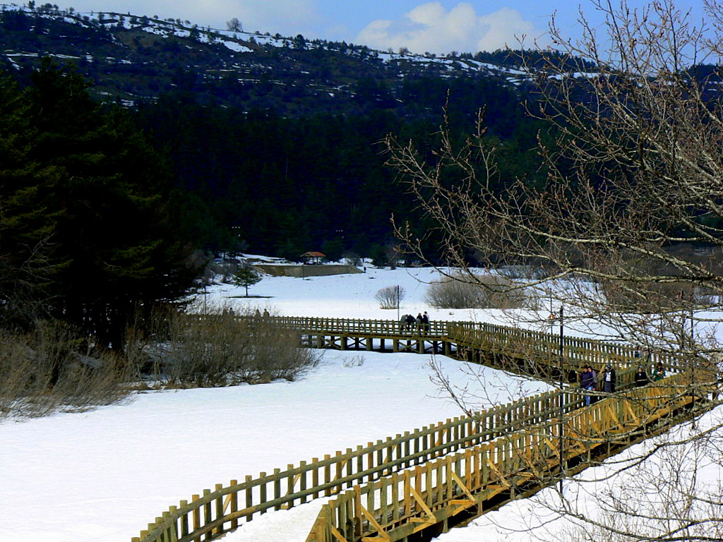 Abant Lake